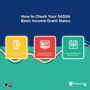 How to Check Your SASSA Basic Income Grant Status 